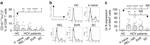 CD3 Antibody in Flow Cytometry (Flow)