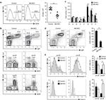 CD117 (c-Kit) Antibody in Flow Cytometry (Flow)