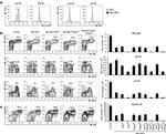 CD117 (c-Kit) Antibody in Flow Cytometry (Flow)