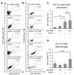 F4/80 Antibody in Flow Cytometry (Flow)