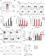 FOXP3 Antibody in Flow Cytometry (Flow)