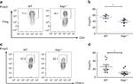 FOXP3 Antibody in Flow Cytometry (Flow)