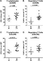 FOXP3 Antibody in Immunohistochemistry (IHC)