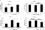 CD8a Antibody in Flow Cytometry (Flow)