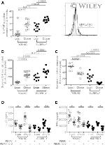 CD3 Antibody in T-Cell Activation (TCA)