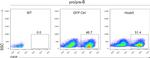 CD8a Antibody in Flow Cytometry (Flow)