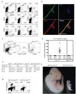 CD117 (c-Kit) Antibody in Flow Cytometry (Flow)