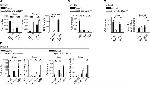 CD117 (c-Kit) Antibody in Flow Cytometry (Flow)