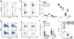 CD45R (B220) Antibody in Flow Cytometry (Flow)