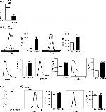 PPAR gamma Antibody in Flow Cytometry (Flow)