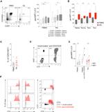 Ki-67 Antibody in Flow Cytometry (Flow)