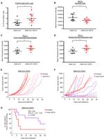 FOXP3 Antibody in Flow Cytometry (Flow)