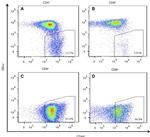 CD44 Antibody in Flow Cytometry (Flow)