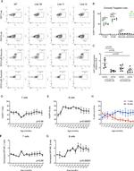 CD19 Antibody in Flow Cytometry (Flow)