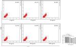 CD3 Antibody in Flow Cytometry (Flow)