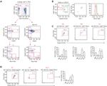 CD25 Antibody in Flow Cytometry (Flow)