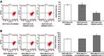 CD44 Antibody in Flow Cytometry (Flow)