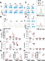 CD3 Antibody in Flow Cytometry (Flow)