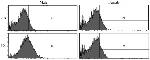 CD44 Antibody in Flow Cytometry (Flow)