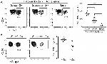 CD44 Antibody in Flow Cytometry (Flow)