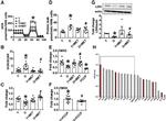 CD3 Antibody in T-Cell Activation (TCA)