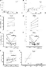 MHC Class II (I-A/I-E) Antibody in Flow Cytometry (Flow)