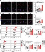 MHC Class II (I-A/I-E) Antibody in Flow Cytometry (Flow)