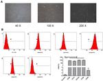 CD45 Antibody in Flow Cytometry (Flow)