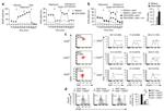 FOXP3 Antibody in Flow Cytometry (Flow)