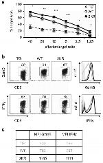 IFN gamma Antibody in Flow Cytometry (Flow)