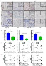 CD3 Antibody in Immunohistochemistry (IHC)