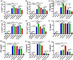 CD25 Antibody in Flow Cytometry (Flow)