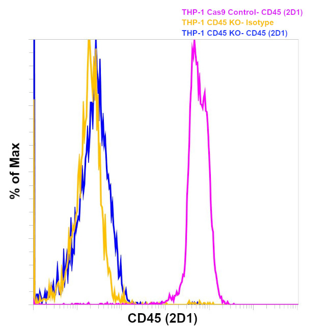 CD45 Antibody