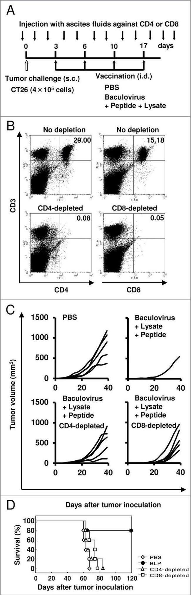 CD8a Antibody in Flow Cytometry (Flow)