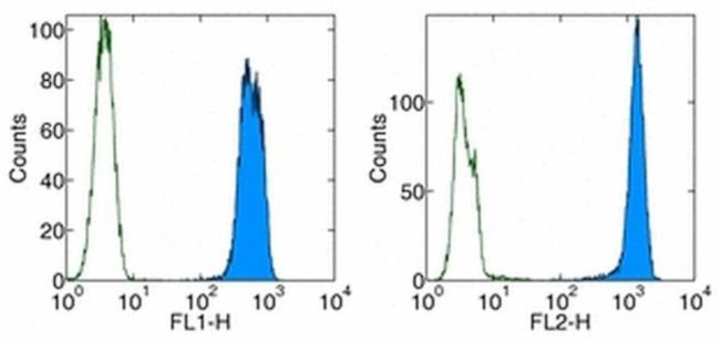 PCNA Antibody in Flow Cytometry (Flow)