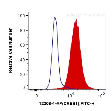 CREB1 Antibody in Flow Cytometry (Flow)