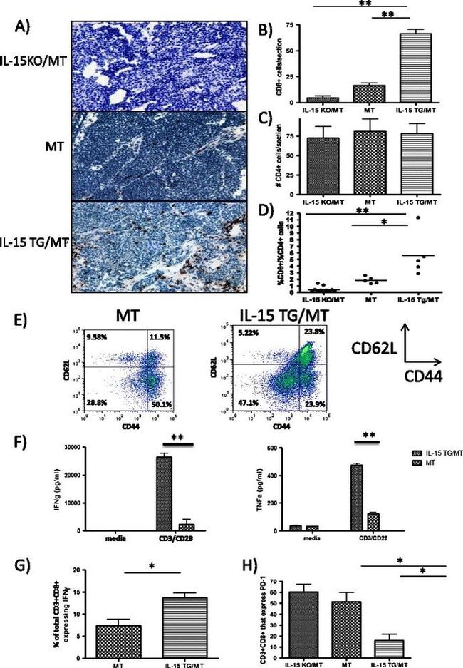 CD3e Antibody in Flow Cytometry (Flow)