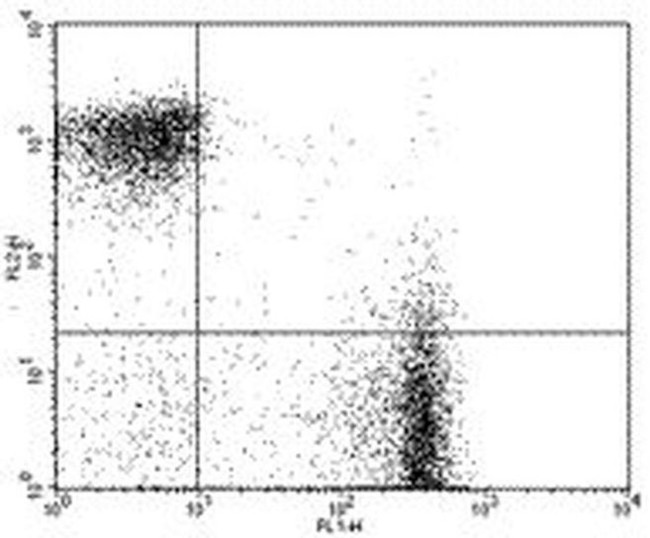 CD3e Antibody in Flow Cytometry (Flow)