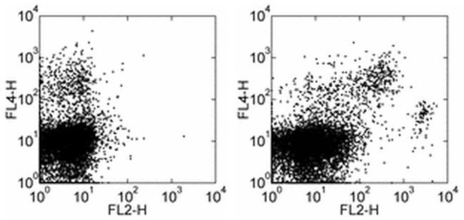 F4/80 Antibody in Flow Cytometry (Flow)