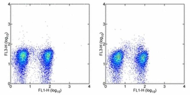 FOXP3 Antibody in Flow Cytometry (Flow)