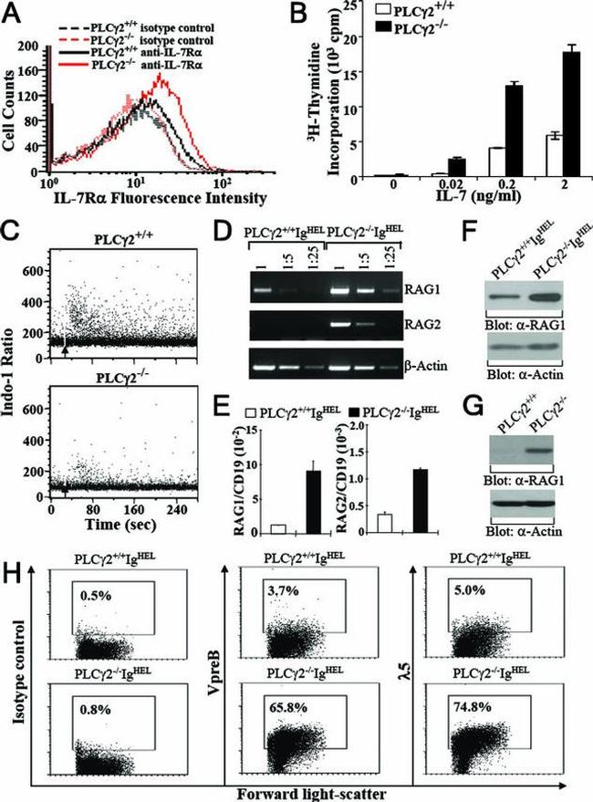 CD45R (B220) Antibody in Flow Cytometry (Flow)