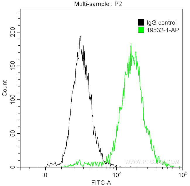 CDK1 Antibody in Flow Cytometry (Flow)