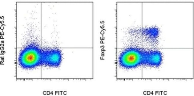 FOXP3 Antibody in Flow Cytometry (Flow)