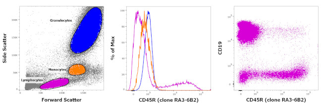 CD45R (B220) Antibody in Flow Cytometry (Flow)