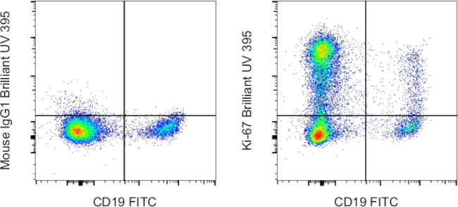 Ki-67 Antibody in Flow Cytometry (Flow)