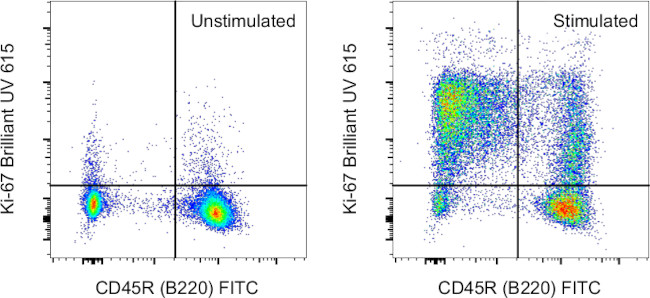 Ki-67 Antibody in Flow Cytometry (Flow)