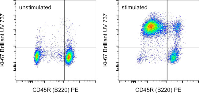 Ki-67 Antibody in Flow Cytometry (Flow)