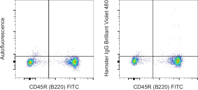 Armenian Hamster IgG Isotype Control in Flow Cytometry (Flow)