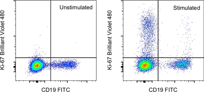 Ki-67 Antibody in Flow Cytometry (Flow)