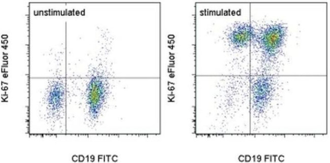 Ki-67 Antibody in Flow Cytometry (Flow)